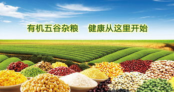 2019廣州有機(jī)展 引領(lǐng)健康生活新風(fēng)尚，匯聚全球有機(jī)農(nóng)副精品