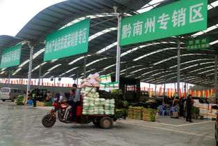 雙龍農(nóng)副產(chǎn)品交易中心蔬菜交易區(qū)試運(yùn)營(yíng)，暢通黔貨出山新通道