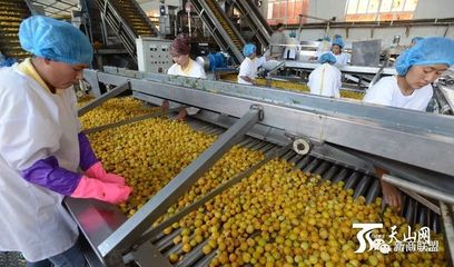 巴州 臨空經濟振翅起 特色農產乘‘風’行